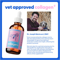 Taily collagène liquide pour chat, pelage brillant et peau lumineuse.