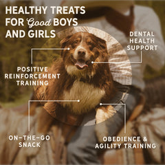 Tally's Ranch jerky dinde — Goût appétissant pour récompenser votre chien.
