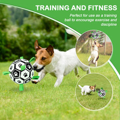 Ballon-foot TBC PET pour chiot en plein air