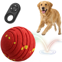 Boule interactive TBC PET avec télécommande pour chien.