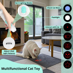 TBTeek: souris interchangeable stimule la chasse du chat.