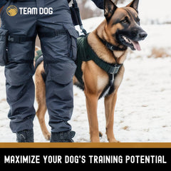 Team Dog formation canine avec haute valeur pour l'entraînement.