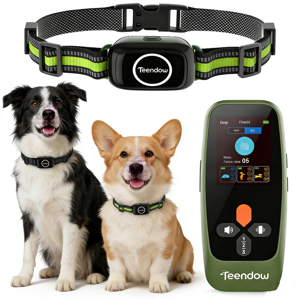 Teendow T800 Pro: système sans fil pour deux chiens avec délimitation flexible.