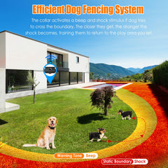 TeqHome fil-enterré cloture-chien: installation discrète et sécurité durable.