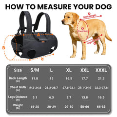 Sling Terapaton porte-chien, porté dorsal pour transferts et trajets courts.