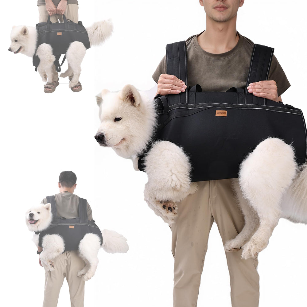 Harnais Terapaton pour grand chien avant, soutien utile pour monter les escaliers.