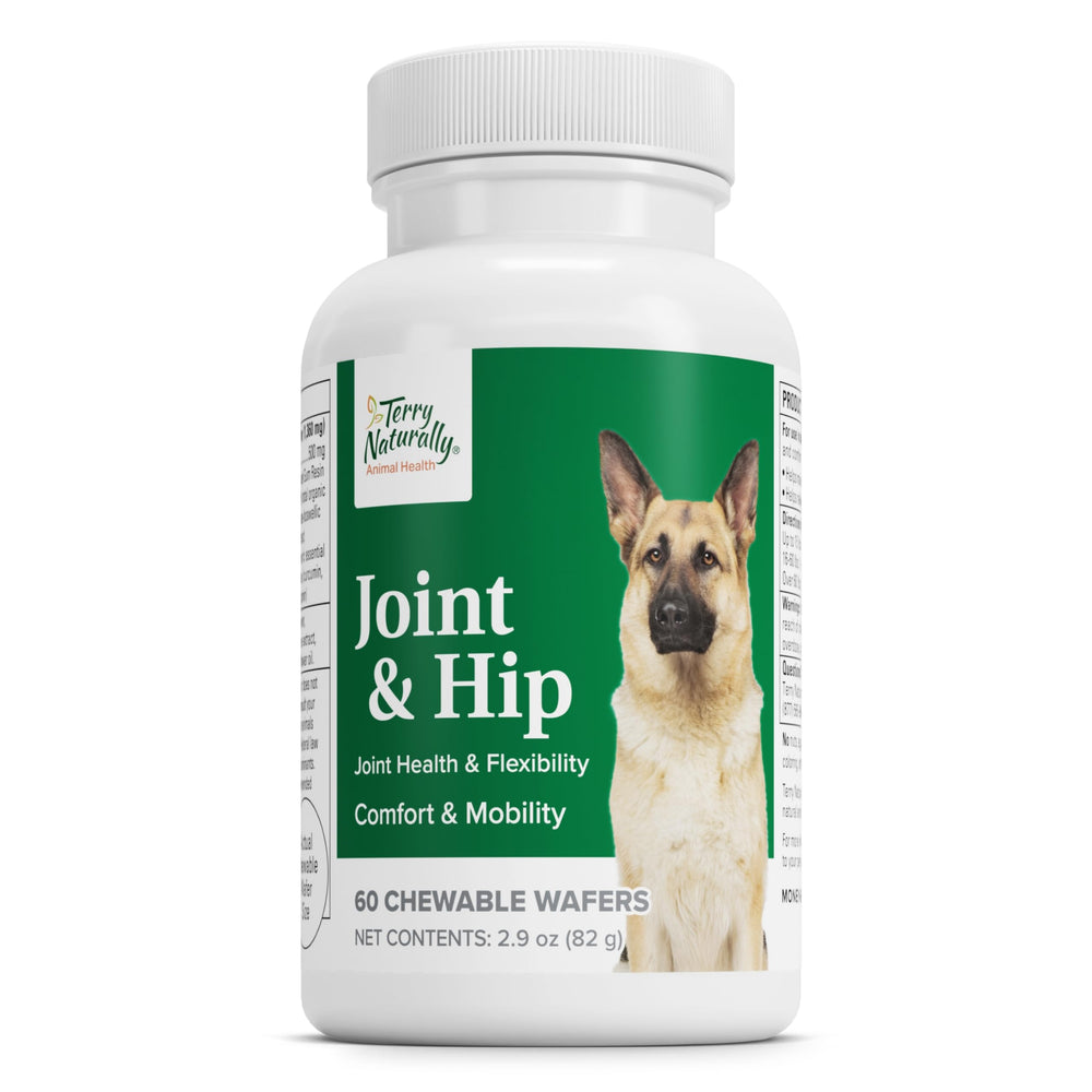 Terry Naturally – Bouteille articulation chien, soutien des articulations et mobilité.