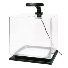 Tetra Cube 3 galons — base pedestal élégante et stable.