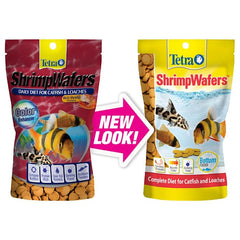 Tetra ShrimpWafers galettes coulantes en aquarium, aliment quotidien pour poissons du fond.
