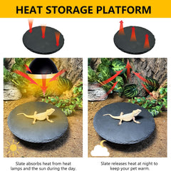 Tfwadmx plateau bain reptile procure un espace de baignade et repos.