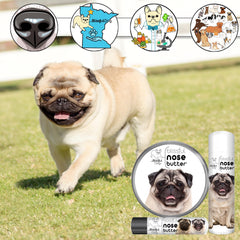 The Blissful Dog Application facile nez – utilisation rapide et simple.