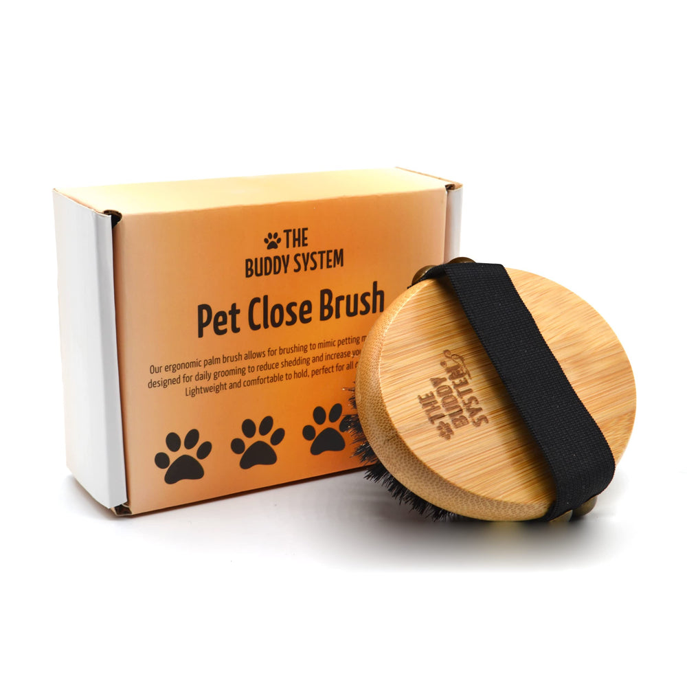 The Buddy System brosse ovale paume douce pour un brossage confortable.