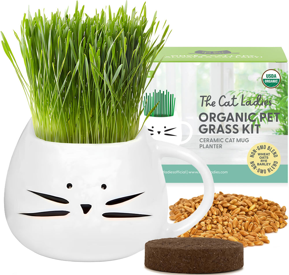 The Cat Ladies planter-chat-blanc, décor et herbe fraîche pour chat.