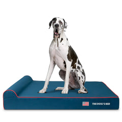 The Dog's Balls The Dog's Bed face bleu oxford pour chien géant.