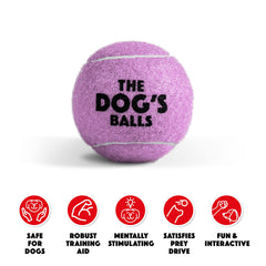The Dog's Balls: balle de tennis violet avec cœur en caoutchouc robuste.