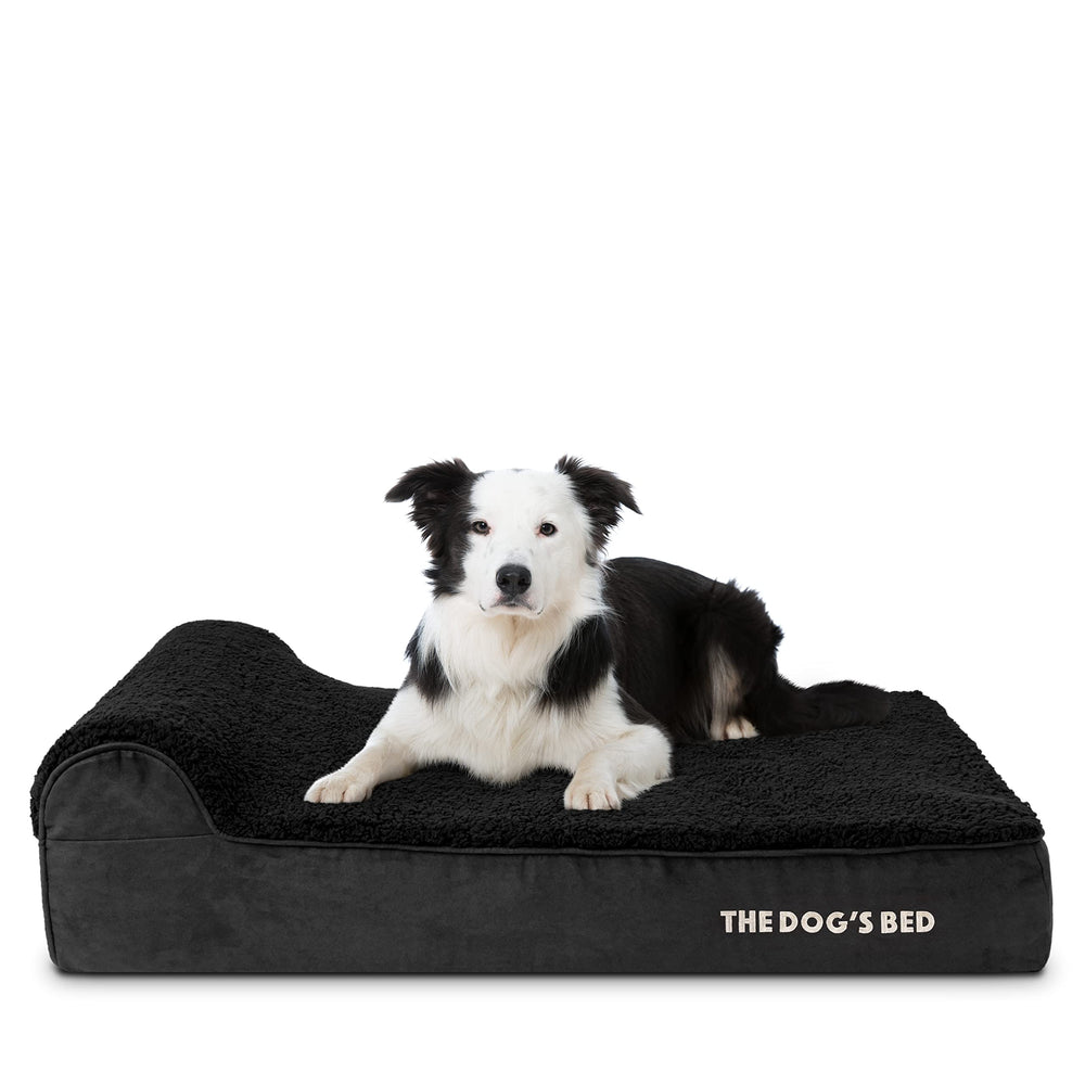 The Dog's Balls lit orthopédique grande tête-repose: soutien en douceur