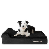 The Dog's Balls lit orthopédique grande tête-repose: soutien en douceur