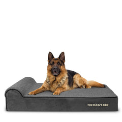 The Dog's Balls lit orthopedique avec repose-tete offre un soutien confortable pour chiens géants.
