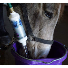 The Horse Hydrator offre une utilisation simple et maintient l'hydratation lors des sorties.