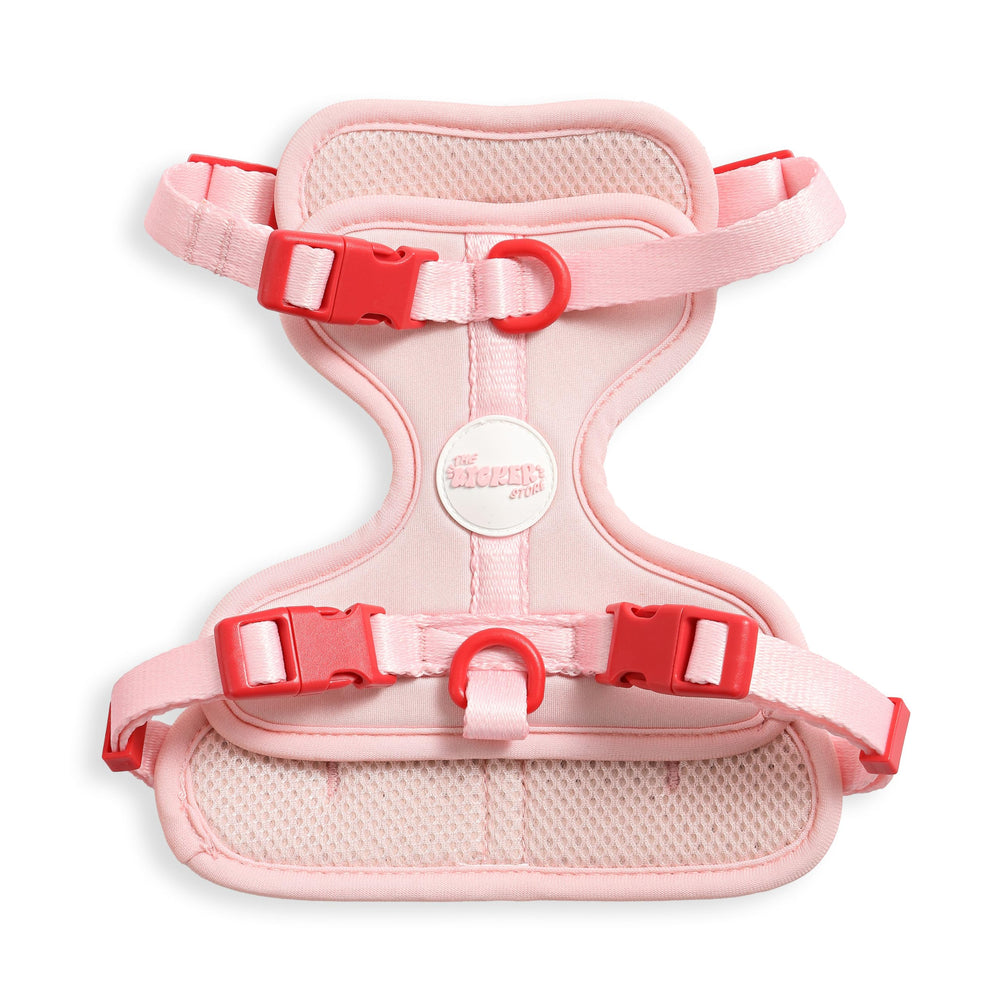 THE LICKER STORE Arlo – vue avant, harnais doux et reglable pour petit chien ou chat