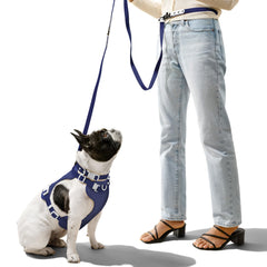 Harnais THE LICKER STORE Arlo, trois boucles et attaches pour un ajustement rapide et sûr