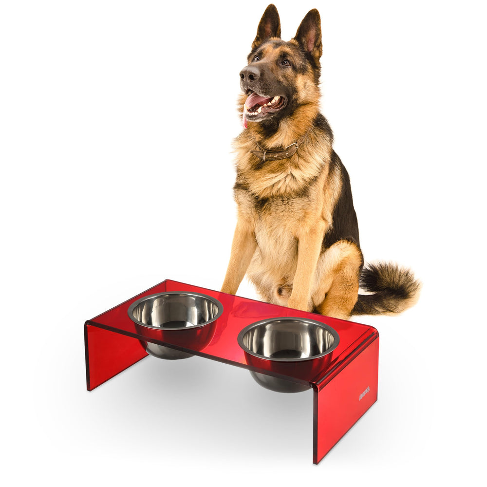 THE LICKER STORE Keaton: bols en acier inoxydable et cadre rouge, repas propres.