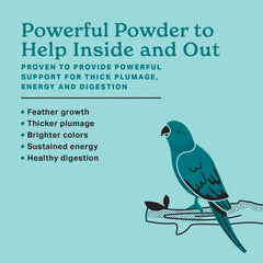 The Missing Link Avian Color & Shine, poudre-yucca, favorise digestion et vitalité quotidienne.