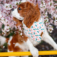 Tissu doux THLOH Bandana, durable et agréable sur le cou.