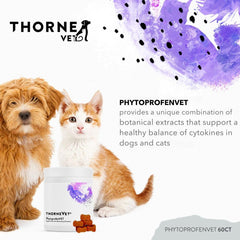 ThorneVET PhytoprofenVET pastilles molles, apport facile pour routine quotidienne.