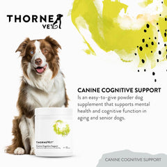 Cuillère-dose ThorneVet pour doser la poudre et l’ajouter facilement au repas.