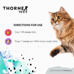ThorneVet Joint Support Poudre – MSM, curcumine et bromélaïne pour le soutien des tissus.