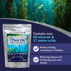 Thorvin Kelp: ingrédients et minéraux essentiels pour la vitalité animale.