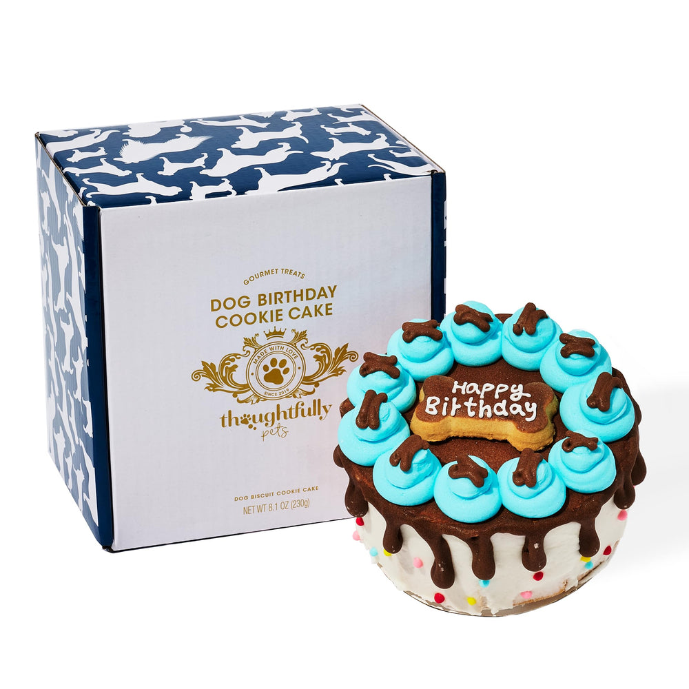 Thoughtfully Pets Gâteau mini biscuit bleu anniversaire, parfait pour célébrer l'anniversaire du chien.