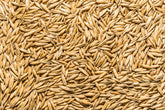 Thunder Acres graine-d-avoine non-gmo en emballage, qualité certifiée, pratique pour l'alimentation