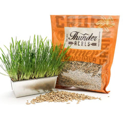 Thunder Acres graine-d-avoine-usa-production-empaquetage, traçabilité et qualité garanties