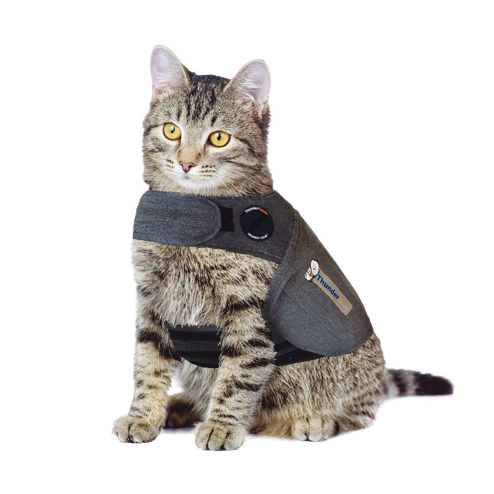 Veste Thundershirt Classic Chat gris clair apaise l’anxiété lors des visites vétérinaires.