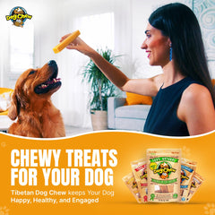 Tibetan Dog Chew bâton fromage yak sans gluten pour chiens sensibles