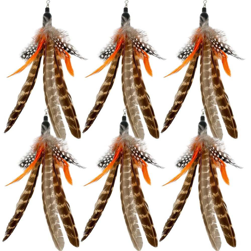 TIENAILING remplacements plumes chat – 6 pièces, remplacement facile pour sessions ludiques.
