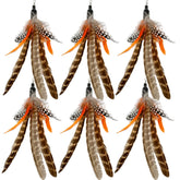 TIENAILING remplacements plumes chat – 6 pièces, remplacement facile pour sessions ludiques.
