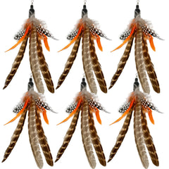 TIENAILING remplacements plumes chat – 6 pièces, remplacement facile pour sessions ludiques.