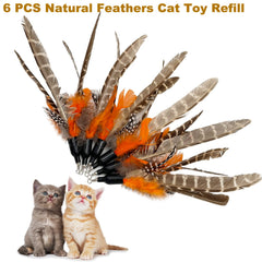 TIENAILING Da Bird plumes remplacements – stimulent l'instinct de chasse du chat.