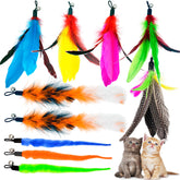 TIENAILING récharges plumes pour chat, stimulation ludique et énergie au mouvement.