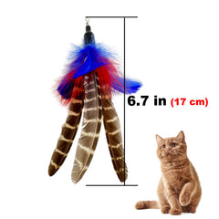 TIENAILING utilisation des plumes sur le chat, stimulation sensorielle sécurisée