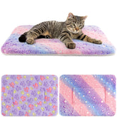 Tierrecare, couverture chat ensemble-2-pieces, réconfort et chaleur pour votre chat.
