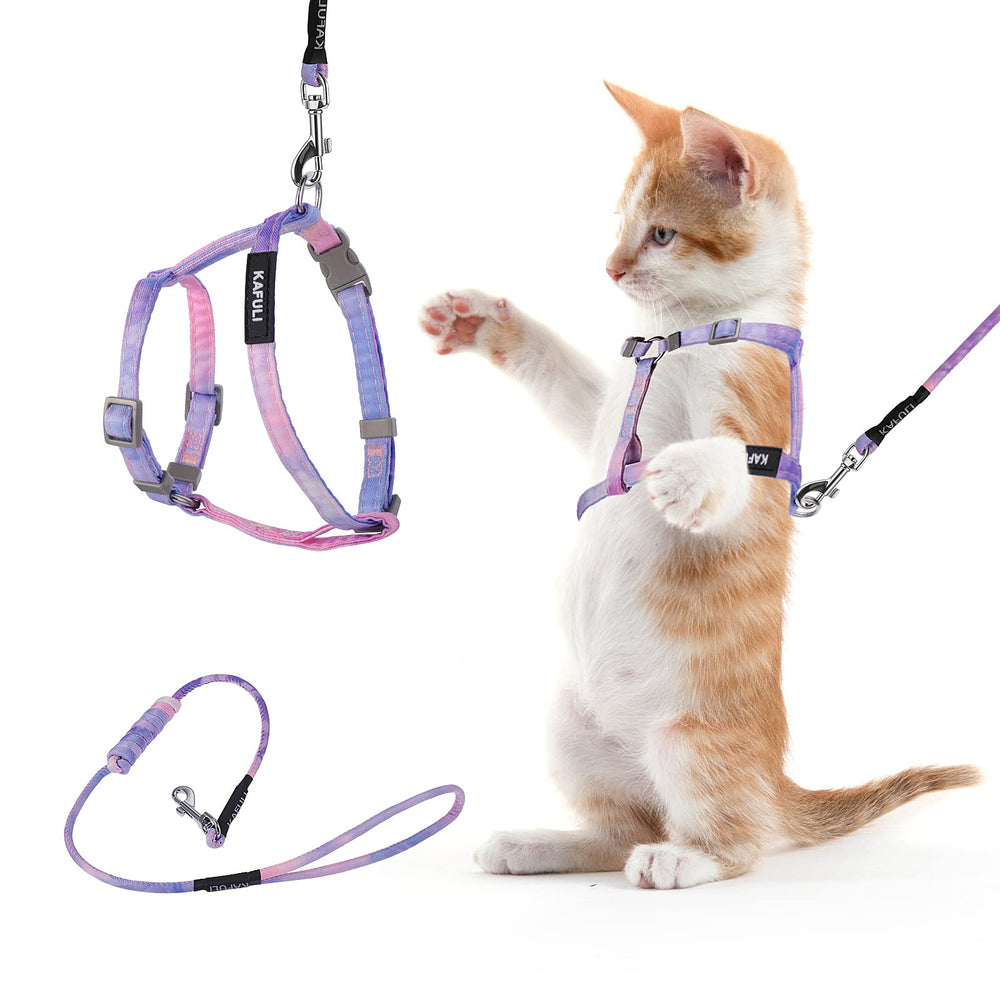 Harnais TIESOME pour chat avec longe dégradé violet, ensemble sûr pour sorties.
