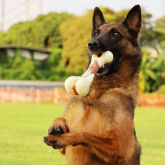 Tikaton jouet à mâcher en nylon durable pour chiens actifs.