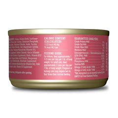Saumon en vedette dans Tiki Cat Baby, saveur naturelle et appétence.