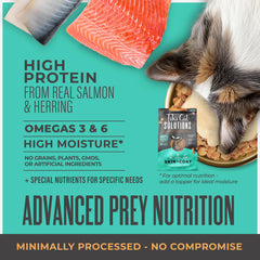 Oméga-3 dans Tiki Cat Solutions Skin & Coat pour brillance potentielle.