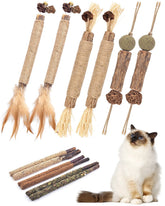TINDTOP baton-silvervine-chat: baton naturel stimulant et réduction du stress.
