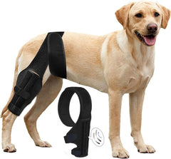 Attelle Tinzum Genou Chien – ajustement précis pour un maintien sûr.